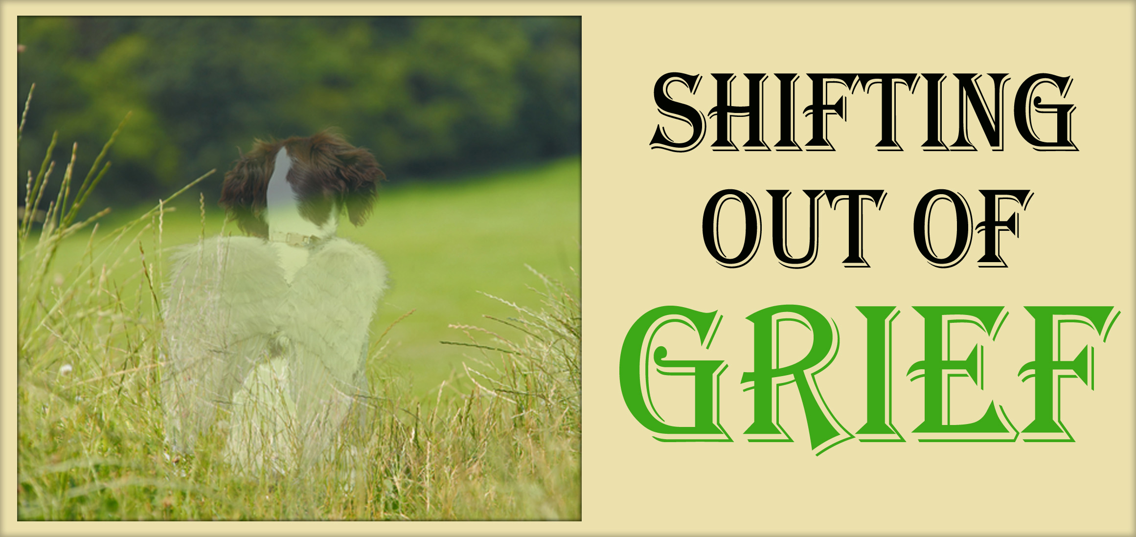 Shifting Out of Grief » Transformation Coaching Magazine