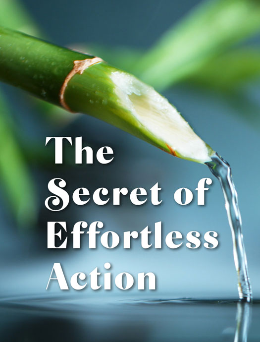 The Secret of Effortless Action - Transformation Coaching Magazine